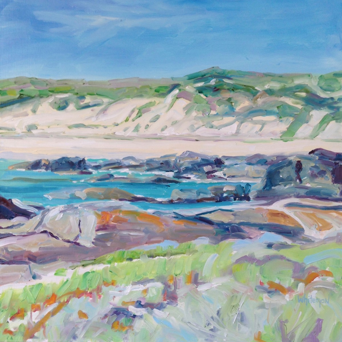 Kilcarnup Dunes by Elizabeth Whiteman 