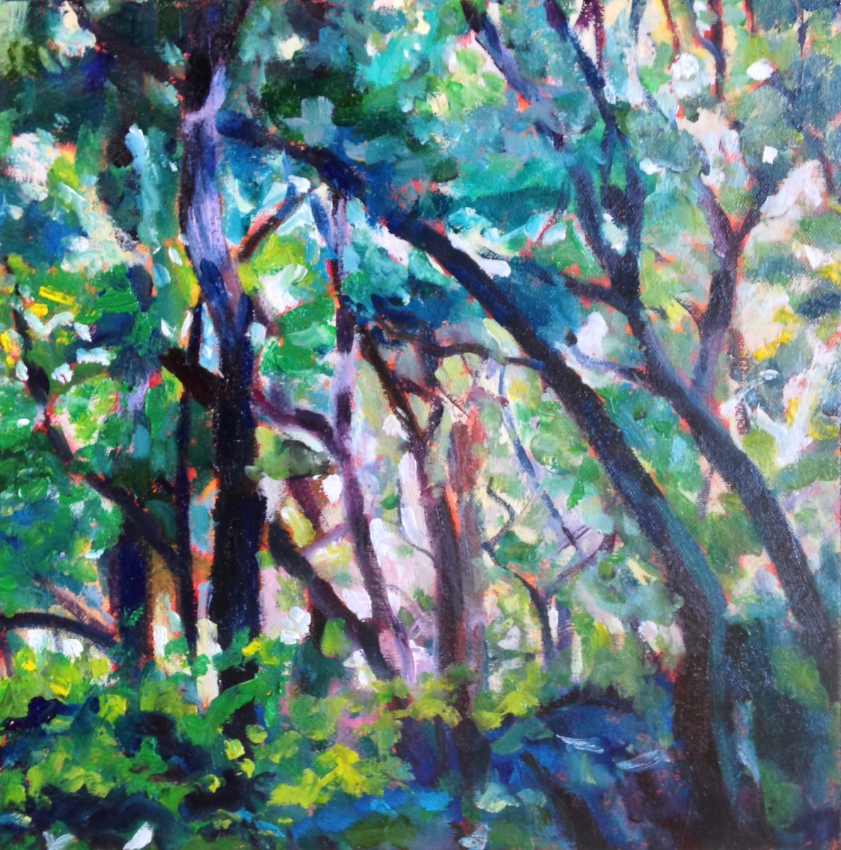 Inside the Forest by Elizabeth Whiteman 