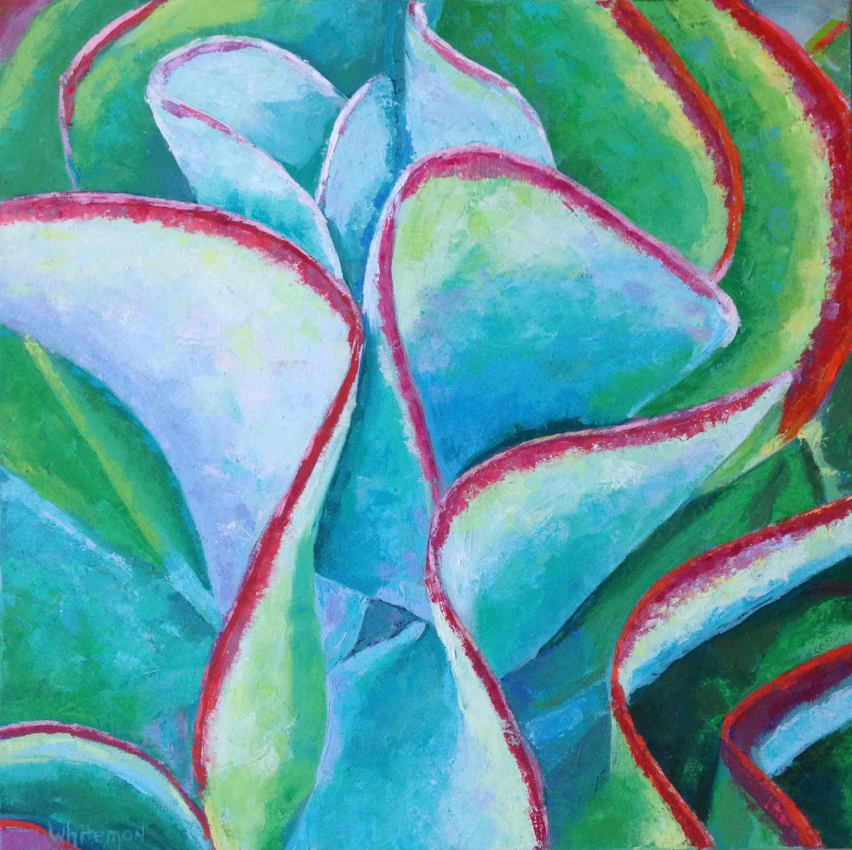 Kalanchoe by Elizabeth Whiteman 