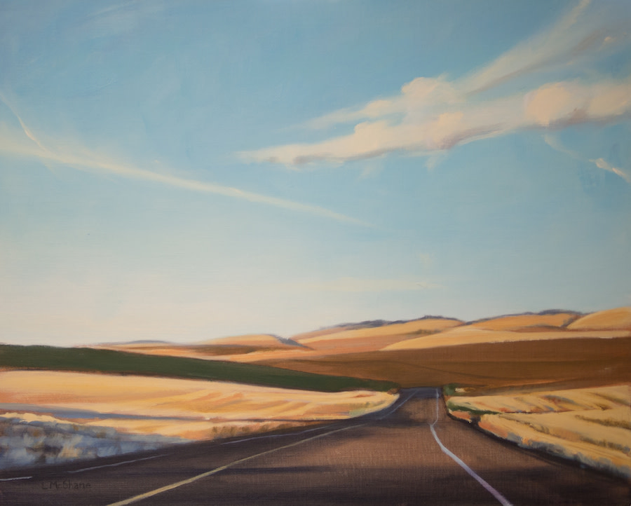 Summer Highway by Lisa McShane 