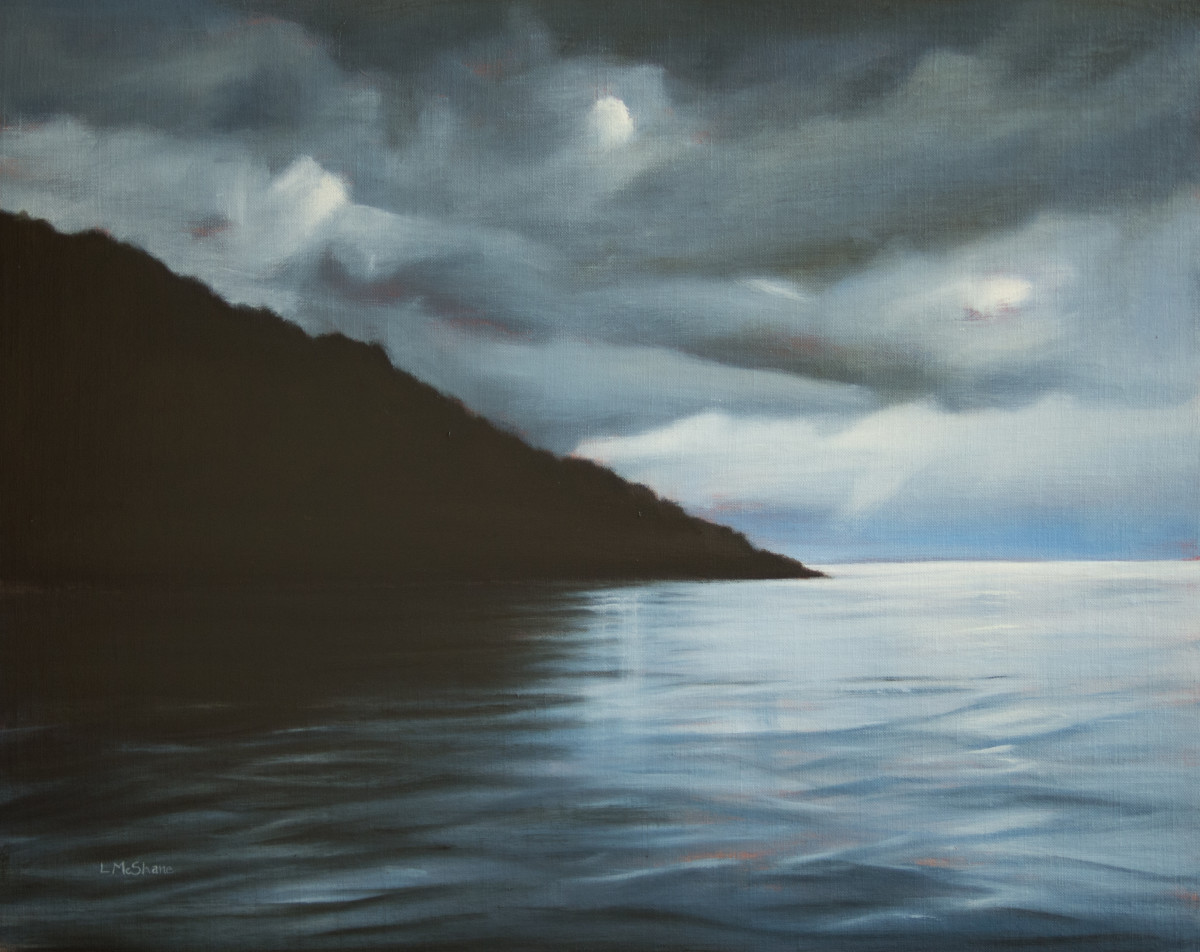 Edge of the Sea by Lisa McShane 