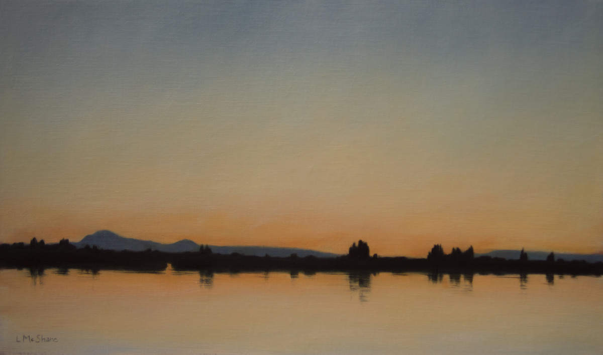 The Skagit by Lisa McShane 