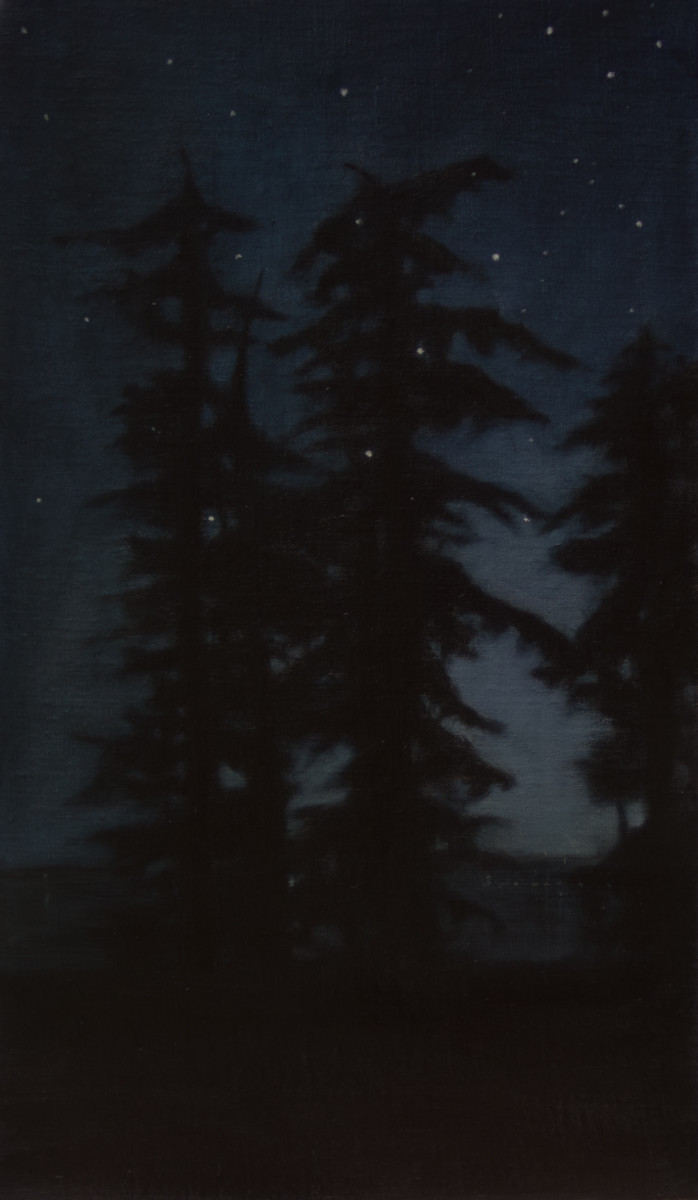 Guardians at Night by Lisa McShane 