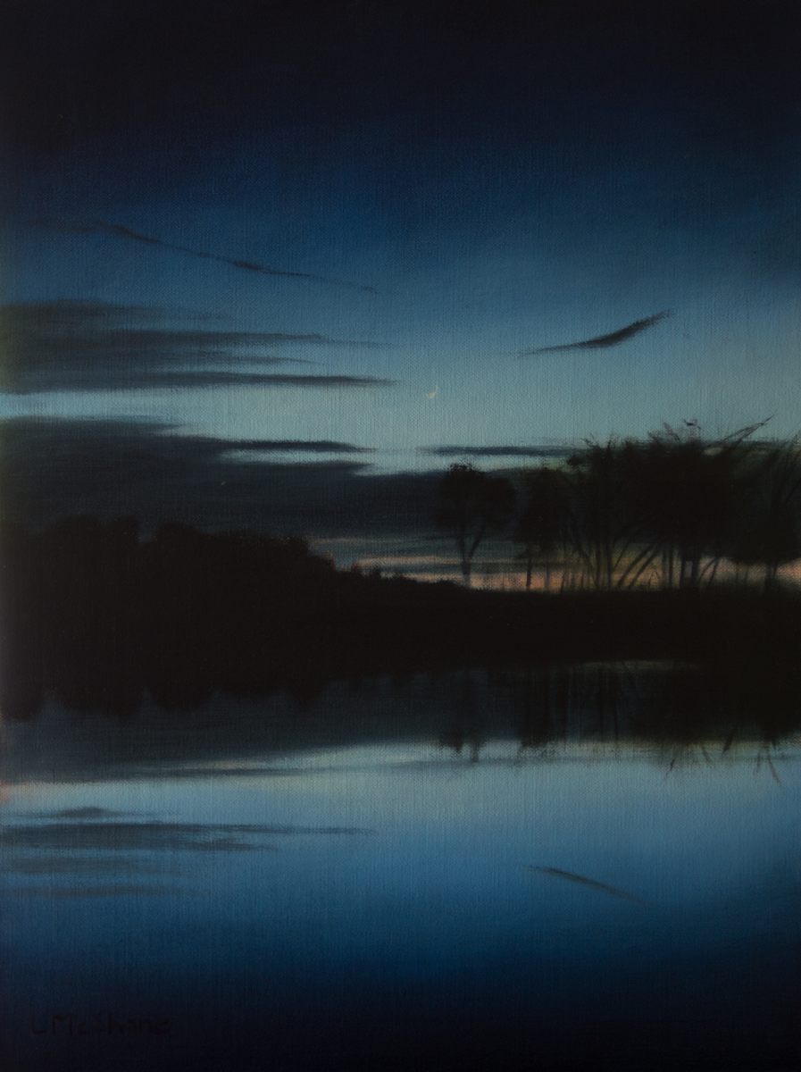 January Dusk by Lisa McShane, Image 1.