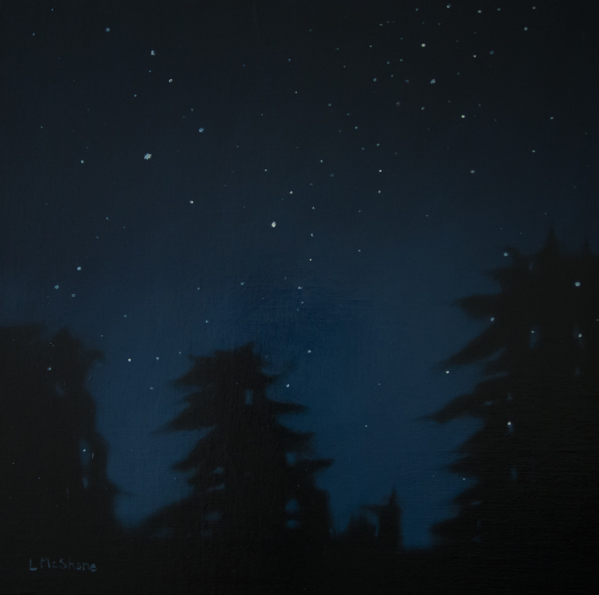 Stars above Samish Island by Lisa McShane 