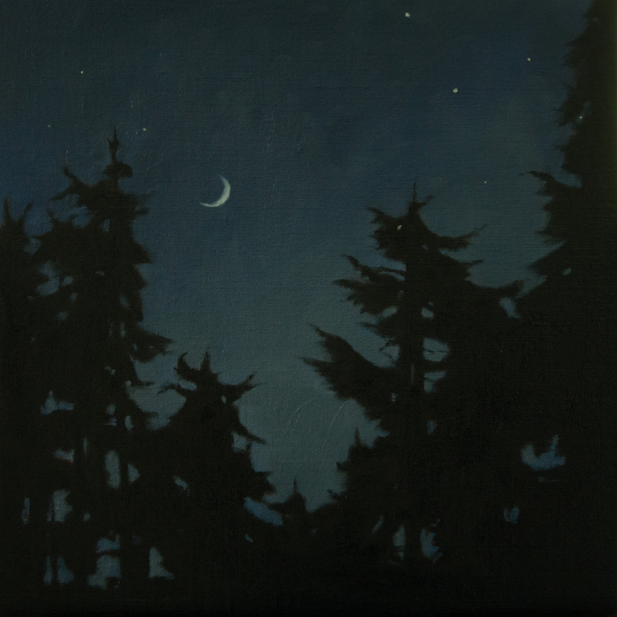 New Moon and Stars over the Forest by Lisa McShane 