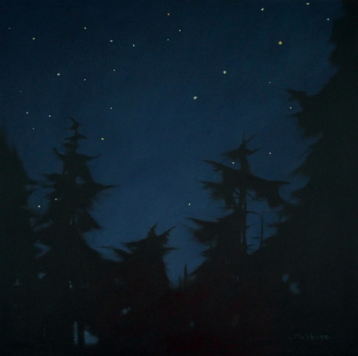 Samish Island Stars by Lisa McShane 