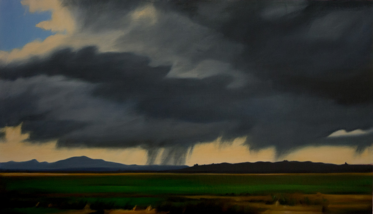 Storm across the Flats by Lisa McShane 