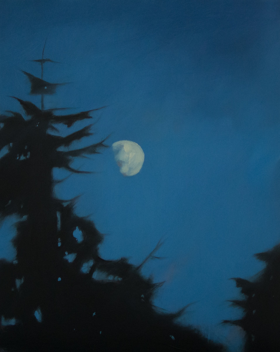 Moon through the Trees by Lisa McShane 
