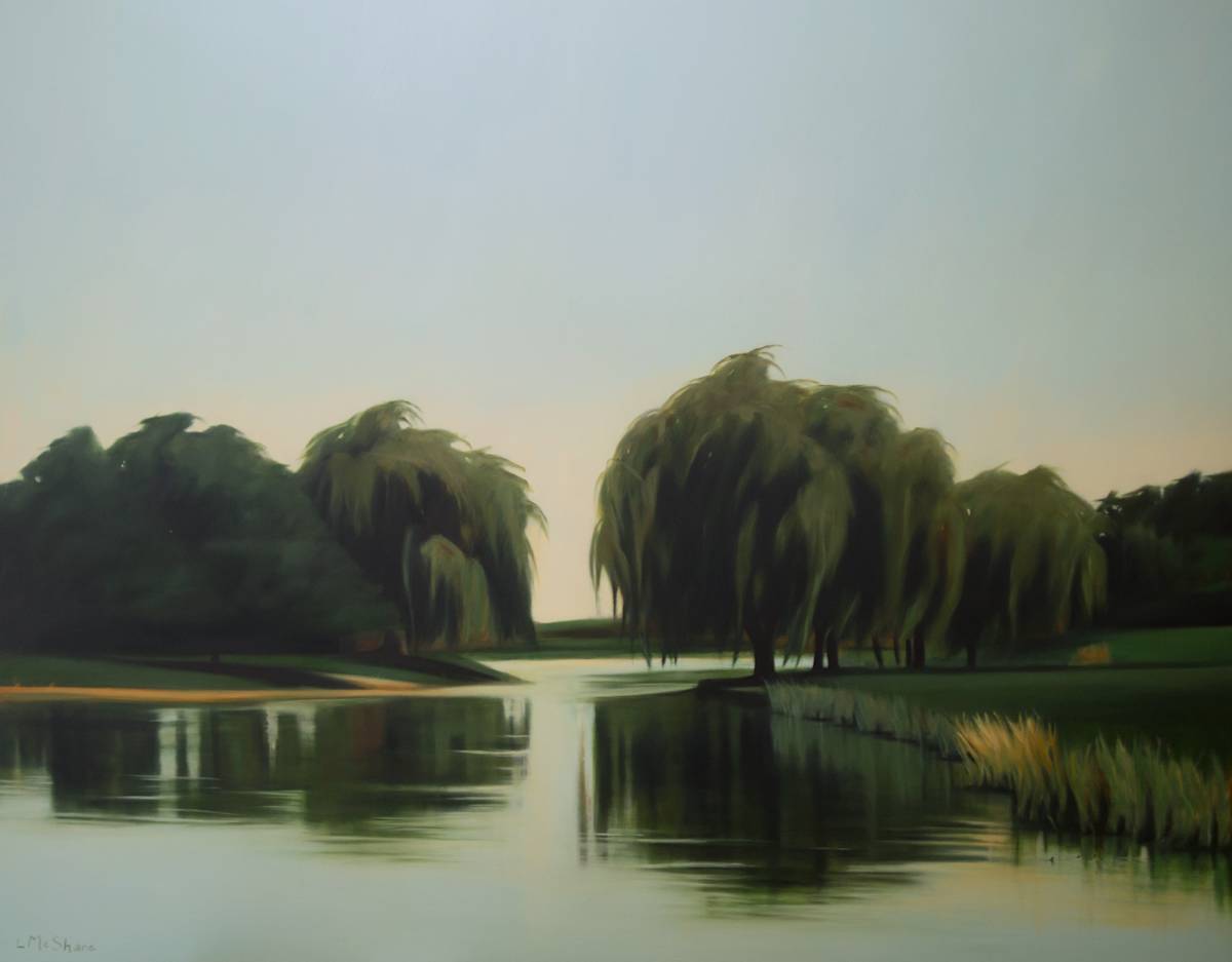 The Pond by Lisa McShane, Image 1.