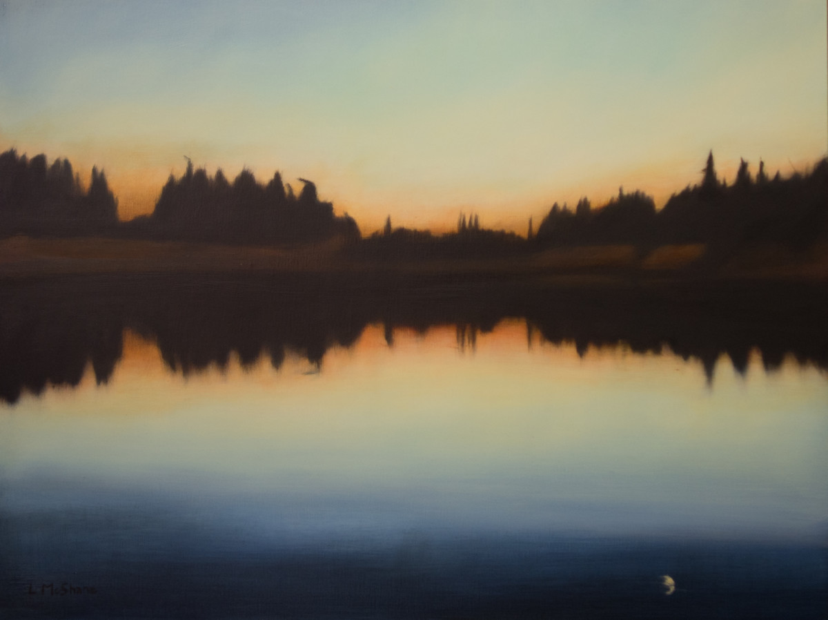 North Pond 2 by Lisa McShane 