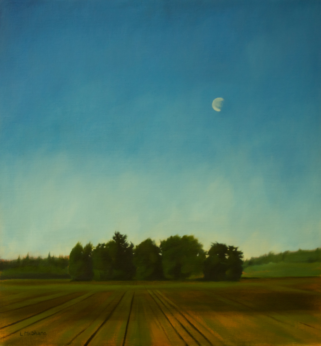 Early Morning Field by Lisa McShane 