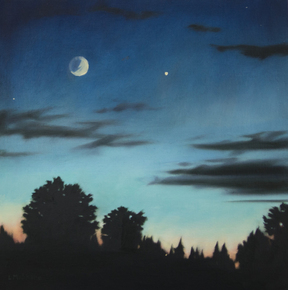 Bow at Night by Lisa McShane 