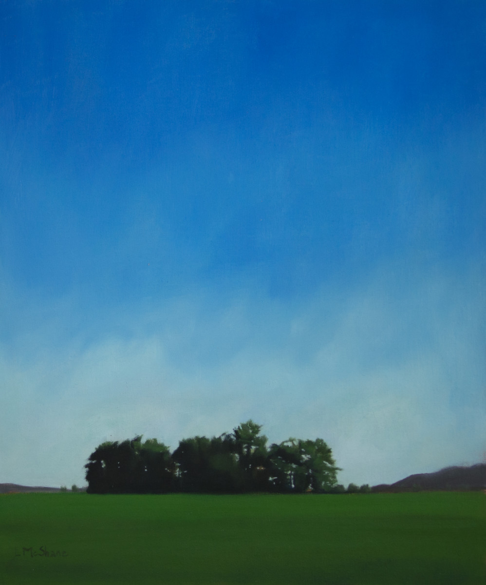 June Fields by Lisa McShane 