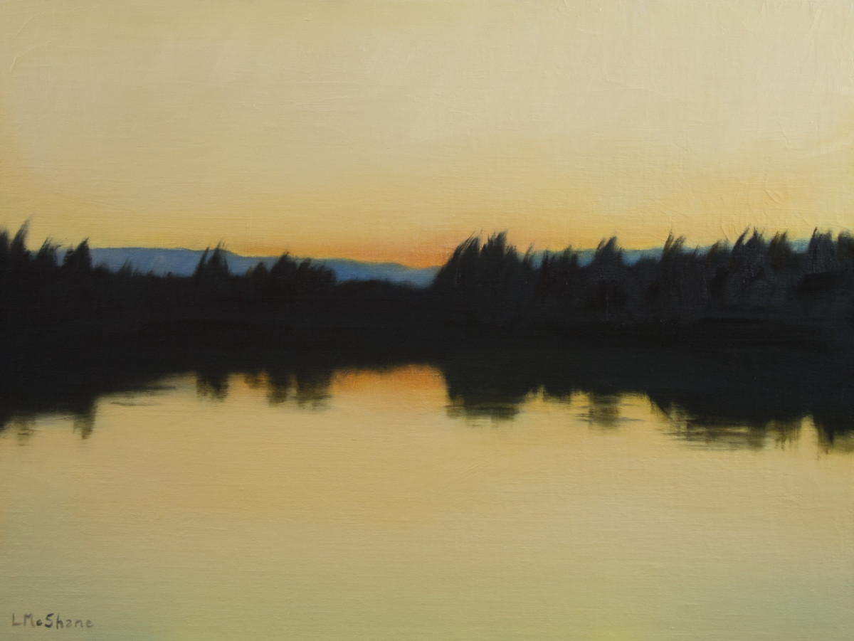 Light over the Slough by Lisa McShane 