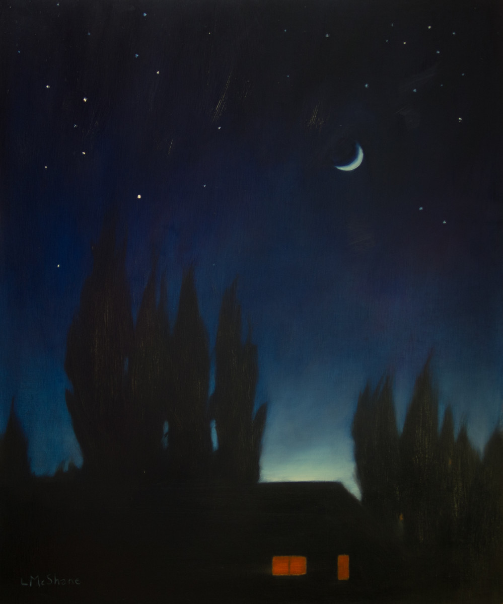Moon over Bow by Lisa McShane 