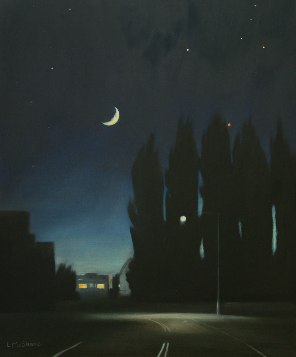 Edison at Night by Lisa McShane 