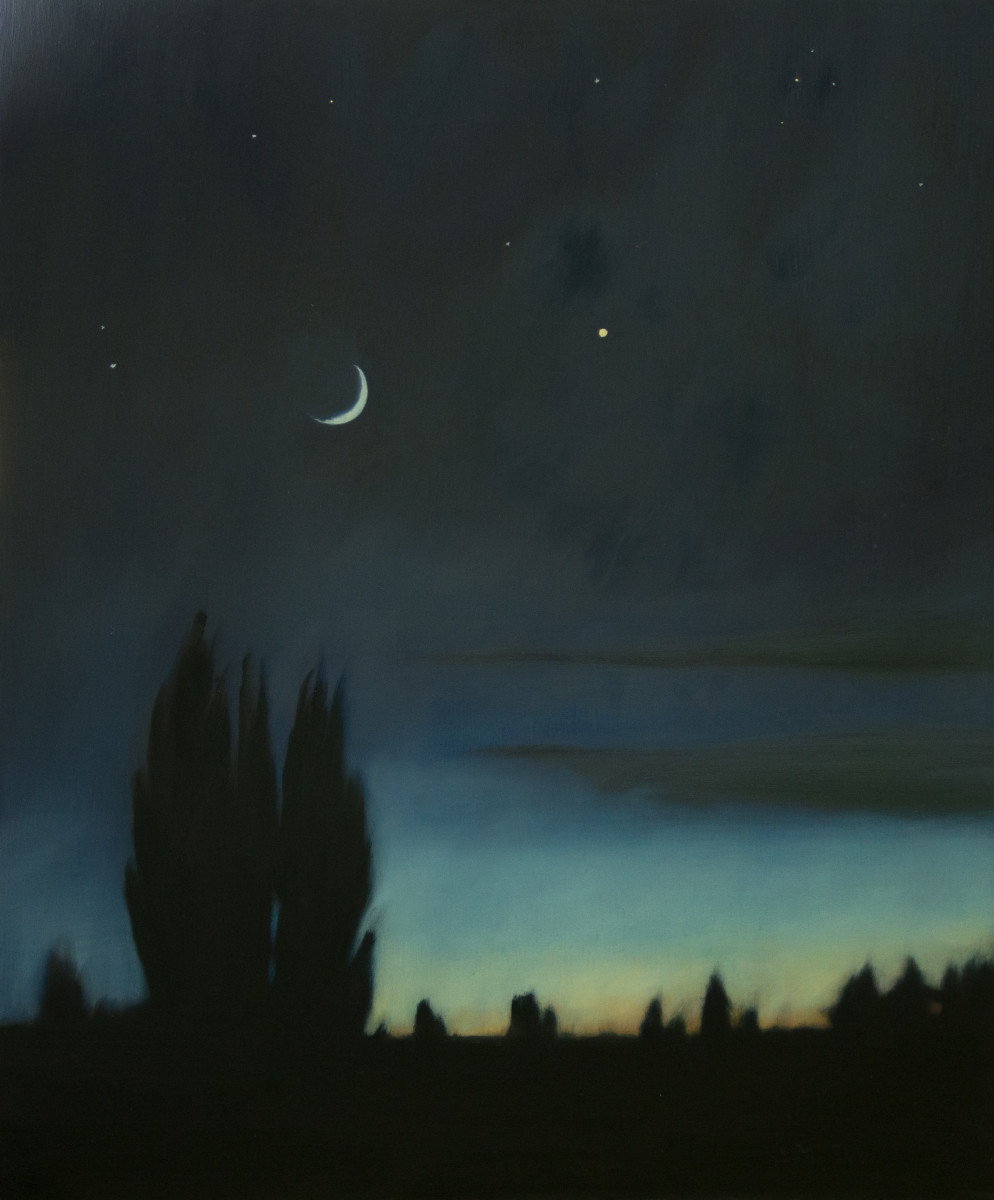 Poplars and the Summer Moon by Lisa McShane 