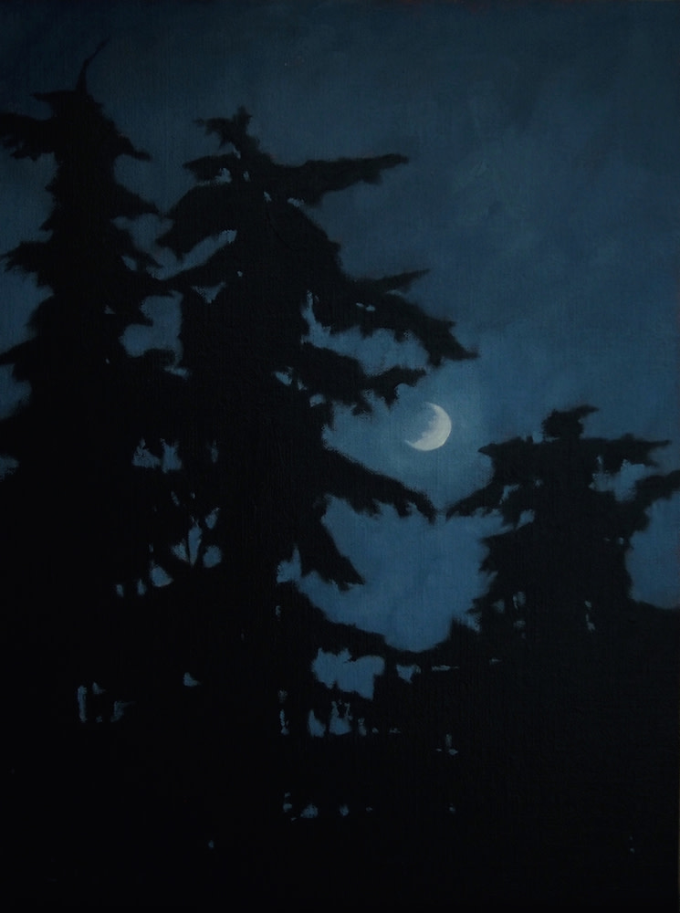 Guardians with the Moon by Lisa McShane 