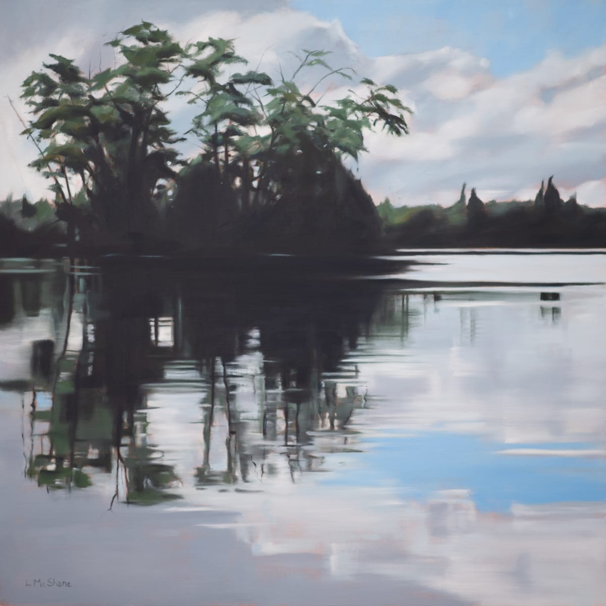 Green Lake by Lisa McShane 