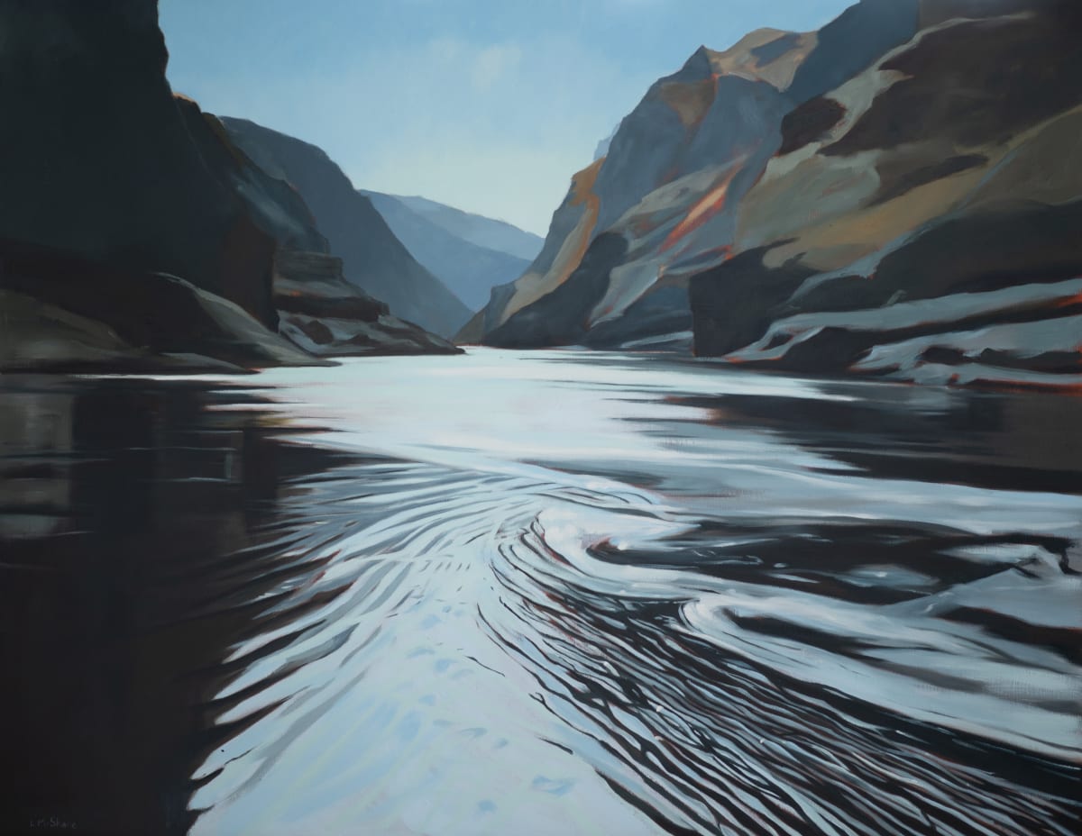 I Dream the River by Lisa McShane 