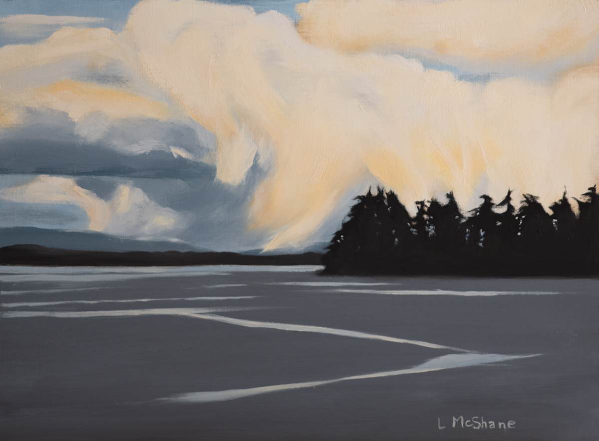 Low Tide by Lisa McShane, Image 6.
