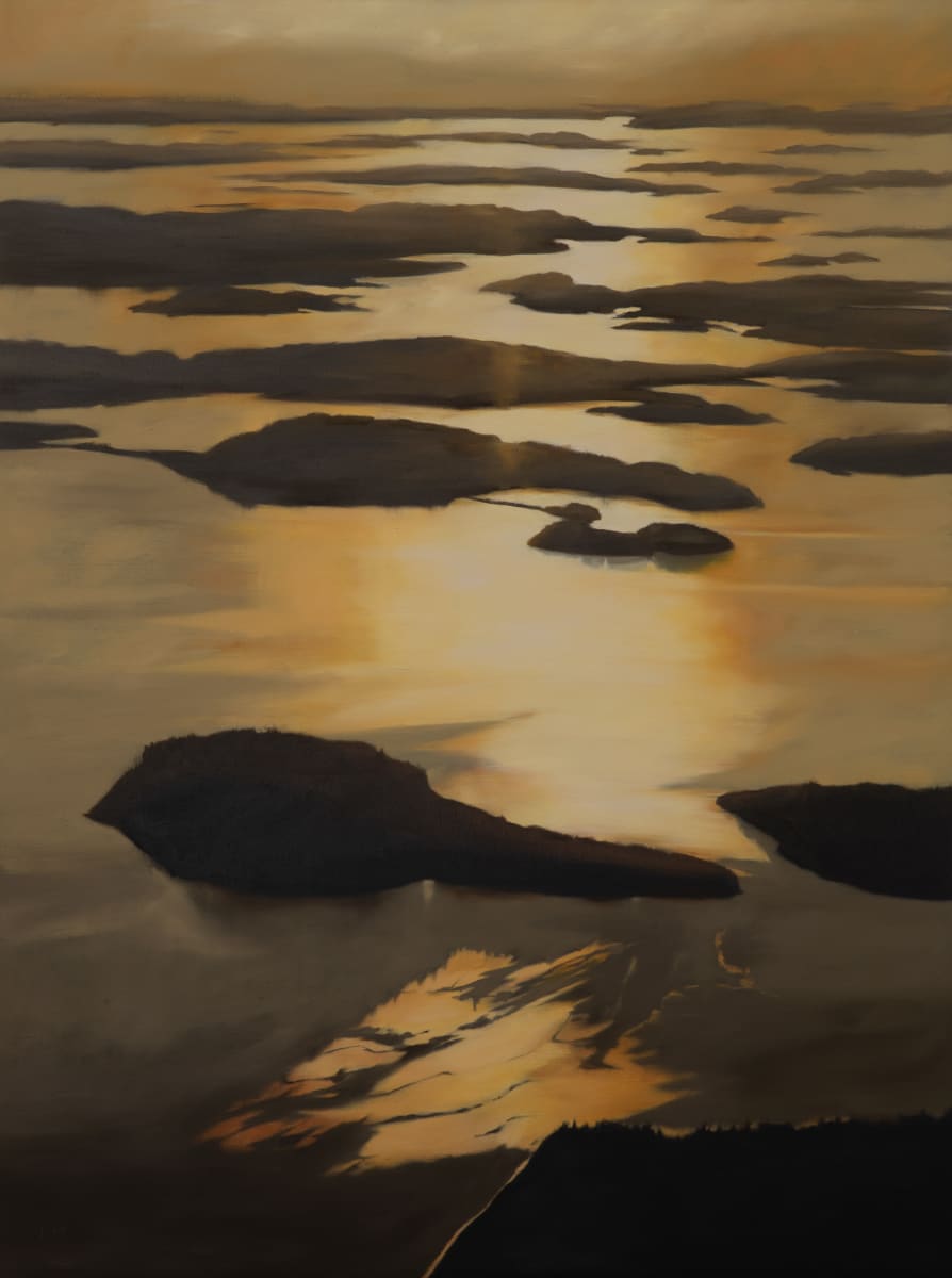 The Archipelago by Lisa McShane 