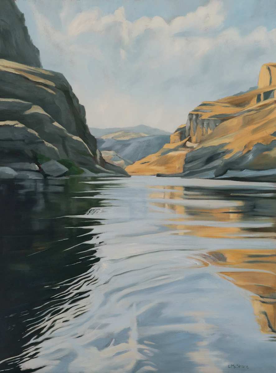 Hells Canyon by Lisa McShane 