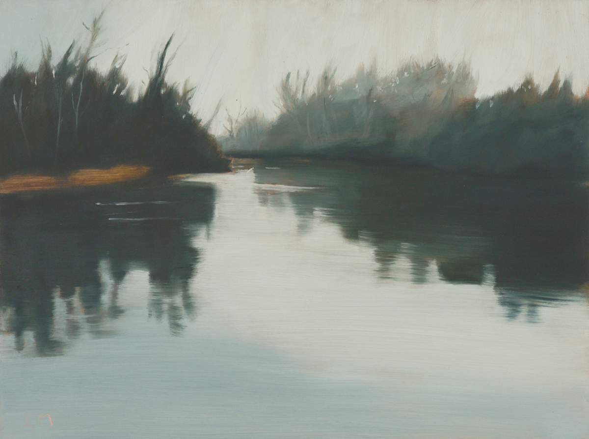 Foggy Delta by Lisa McShane 