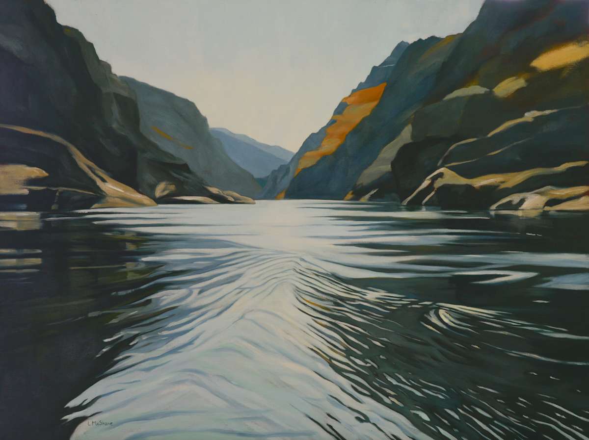 The Power of Water by Lisa McShane 