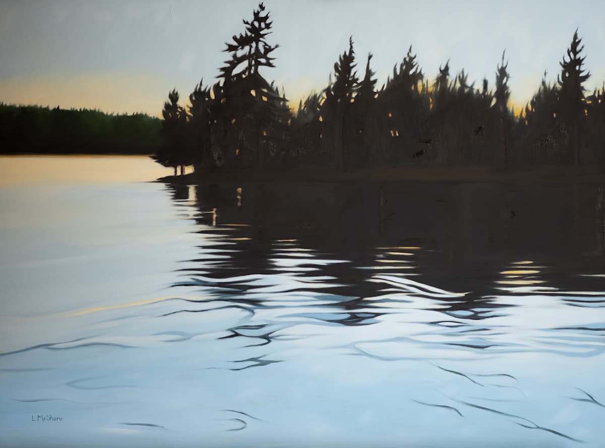 Deep Lake by Lisa McShane, Image 2.