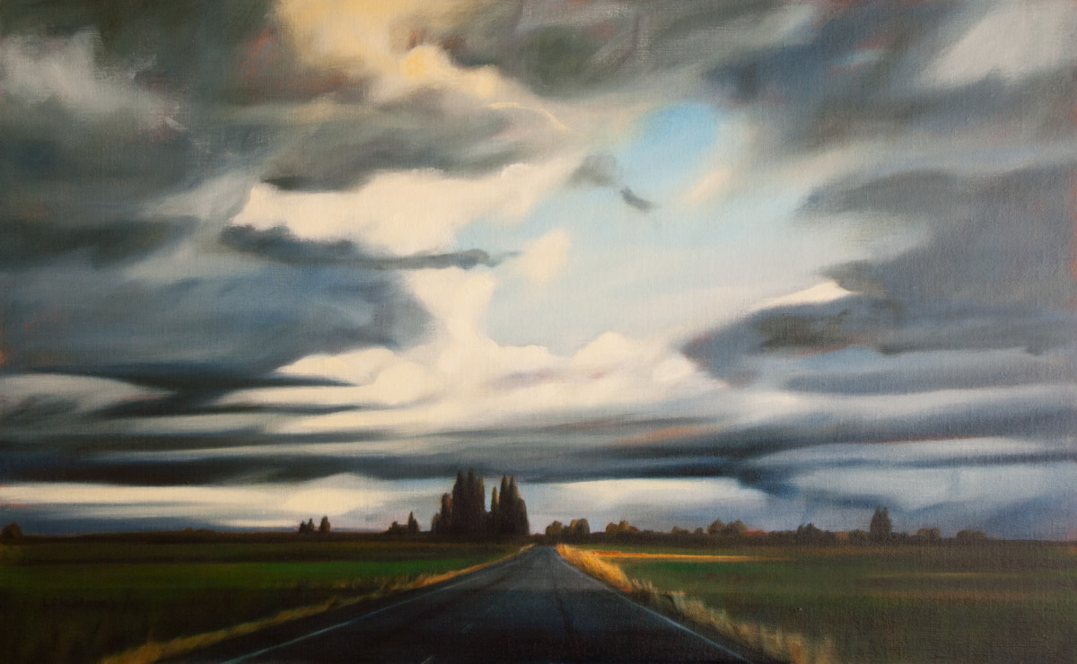 Rain Shadow, Samish Island Road by Lisa McShane 