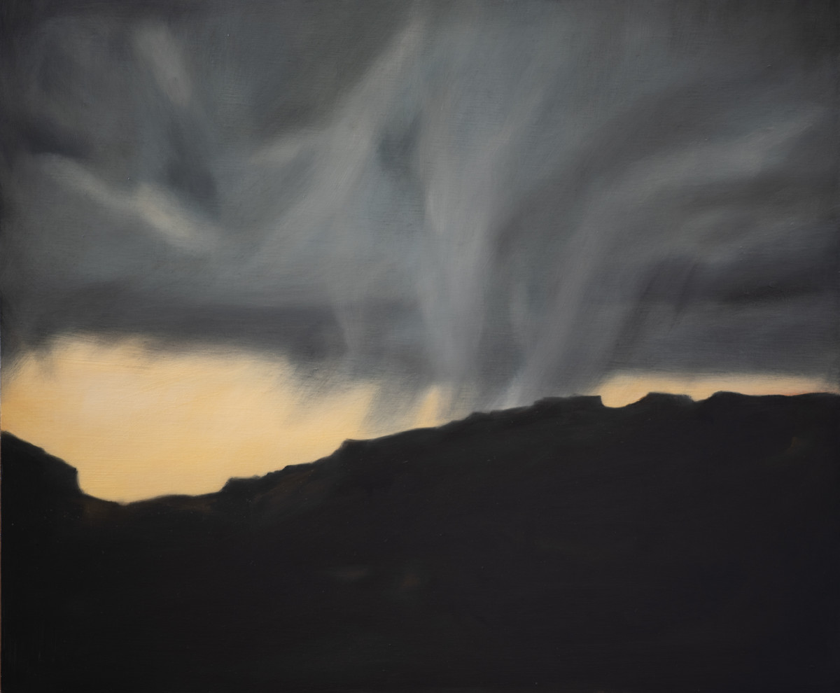 Storm in the Valley by Lisa McShane 