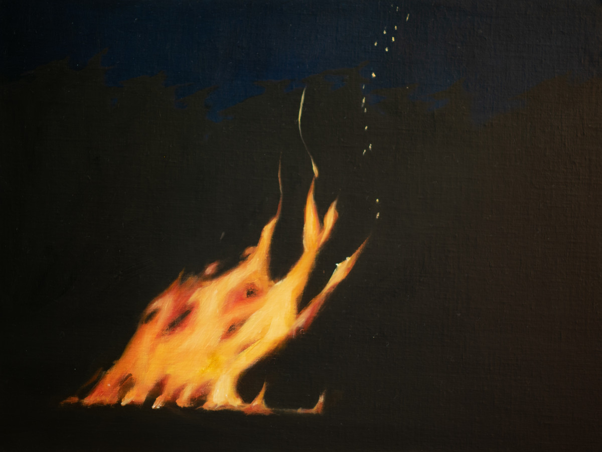 Bonfire of the Patriarchy, 2019 by Lisa McShane 