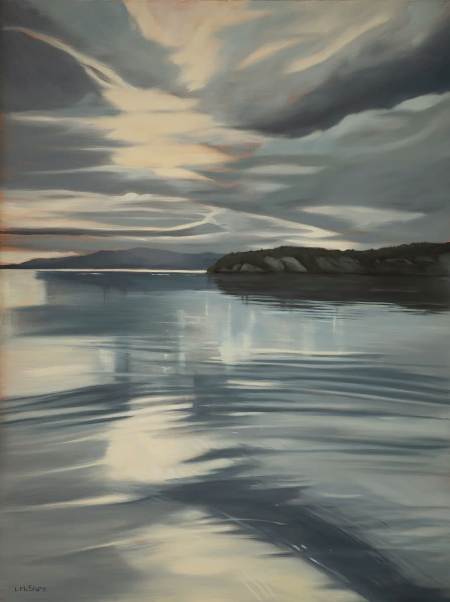 Greetings from Lady Island by Lisa McShane 