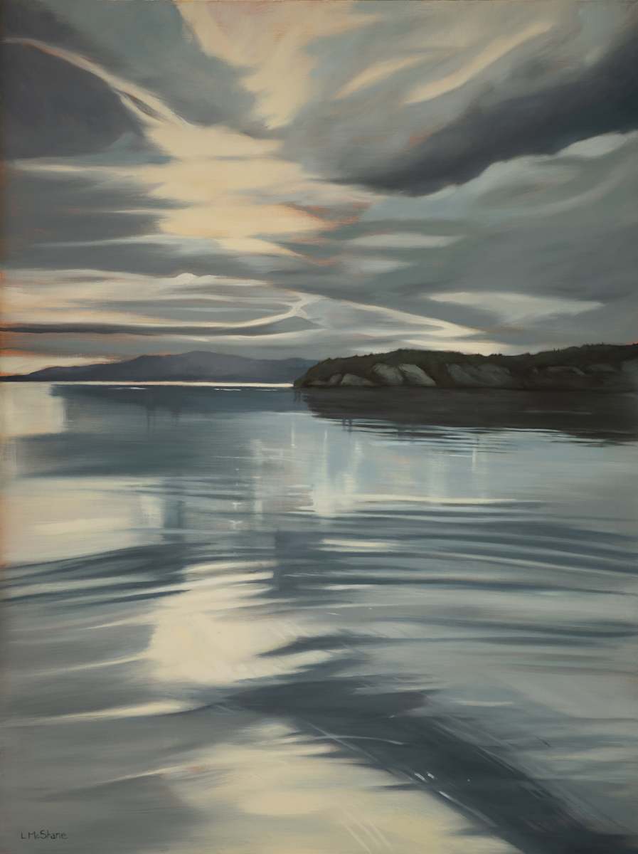 Greetings from Lady Island by Lisa McShane, Image 8.