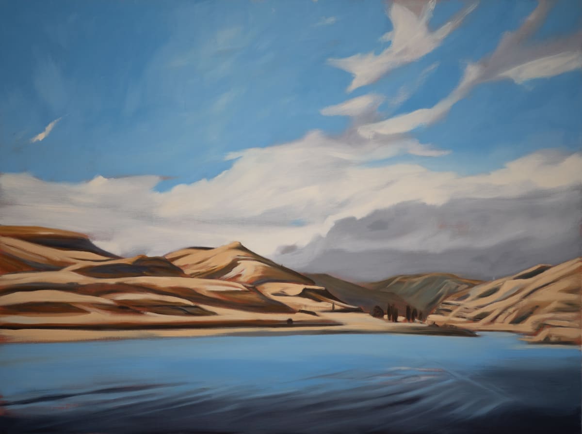 Lost Landscapes: Snake River Hills by Lisa McShane 