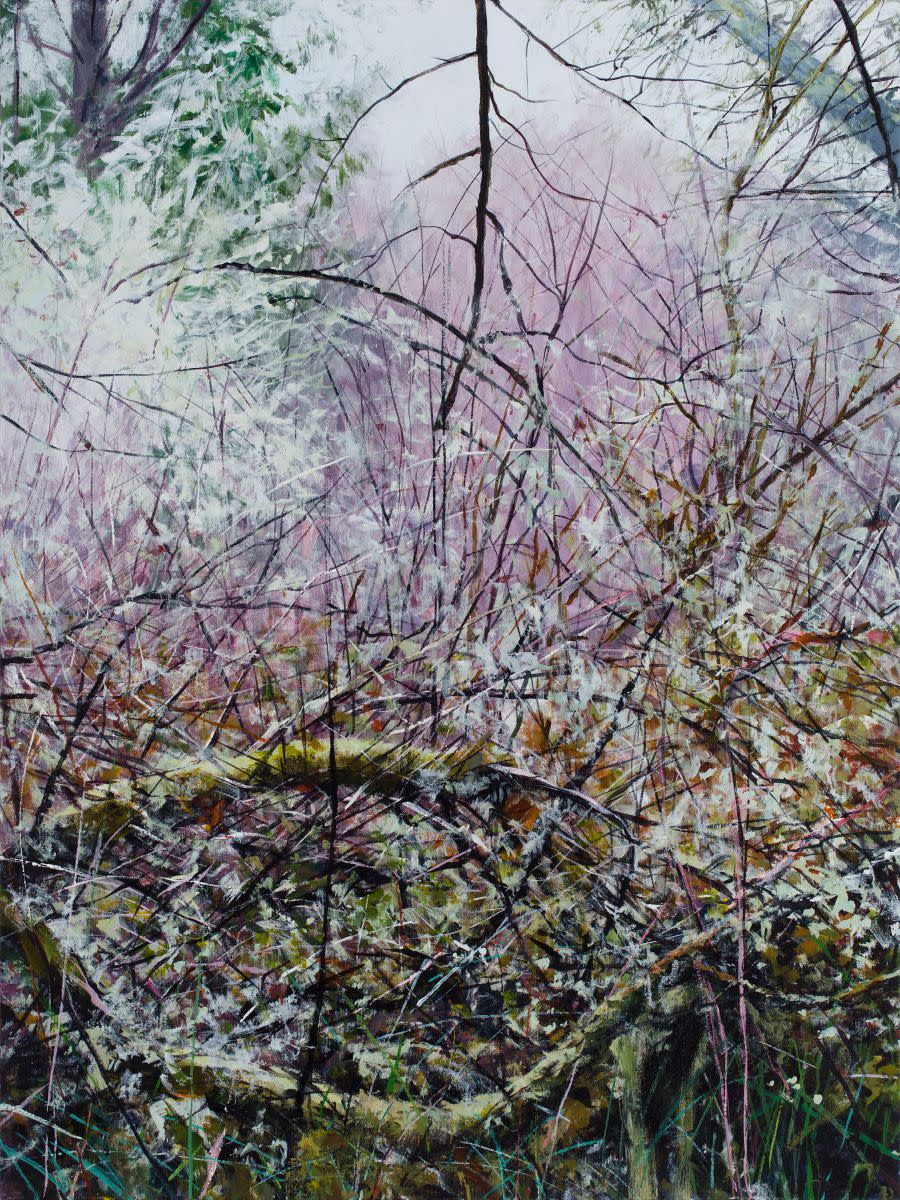 Lichen Trellis by Angelita Surmon 