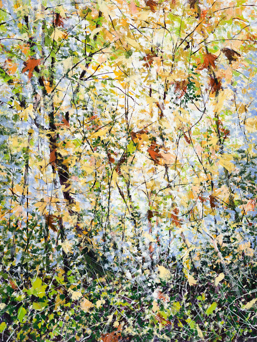 Autumn Light Stream by Angelita Surmon, Image 1.