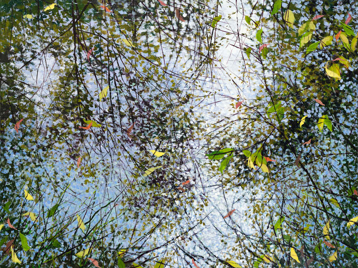 Creekside Echo by Angelita Surmon, Image 1.