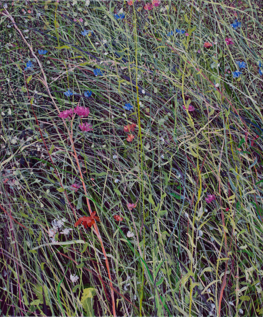 Wildflower Tapestry by Angelita Surmon 