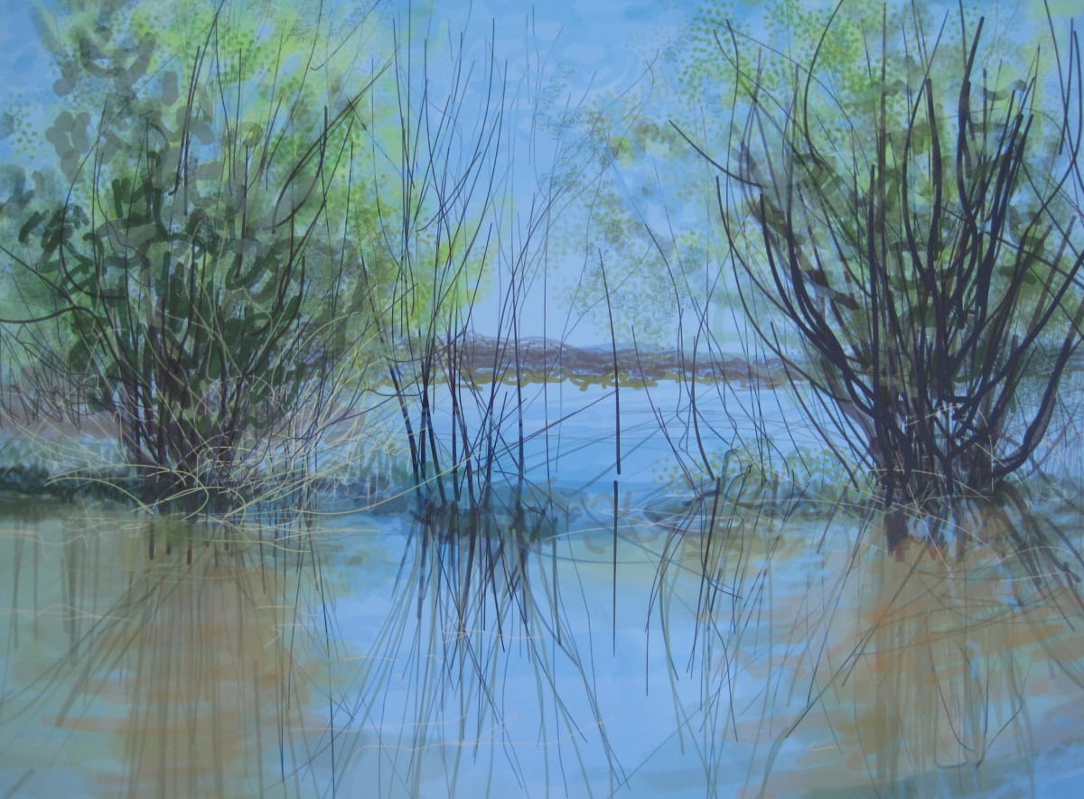 Oak Island Reflections by Angelita Surmon 
