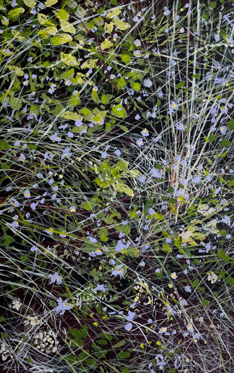 Aster Bloom by Angelita Surmon 