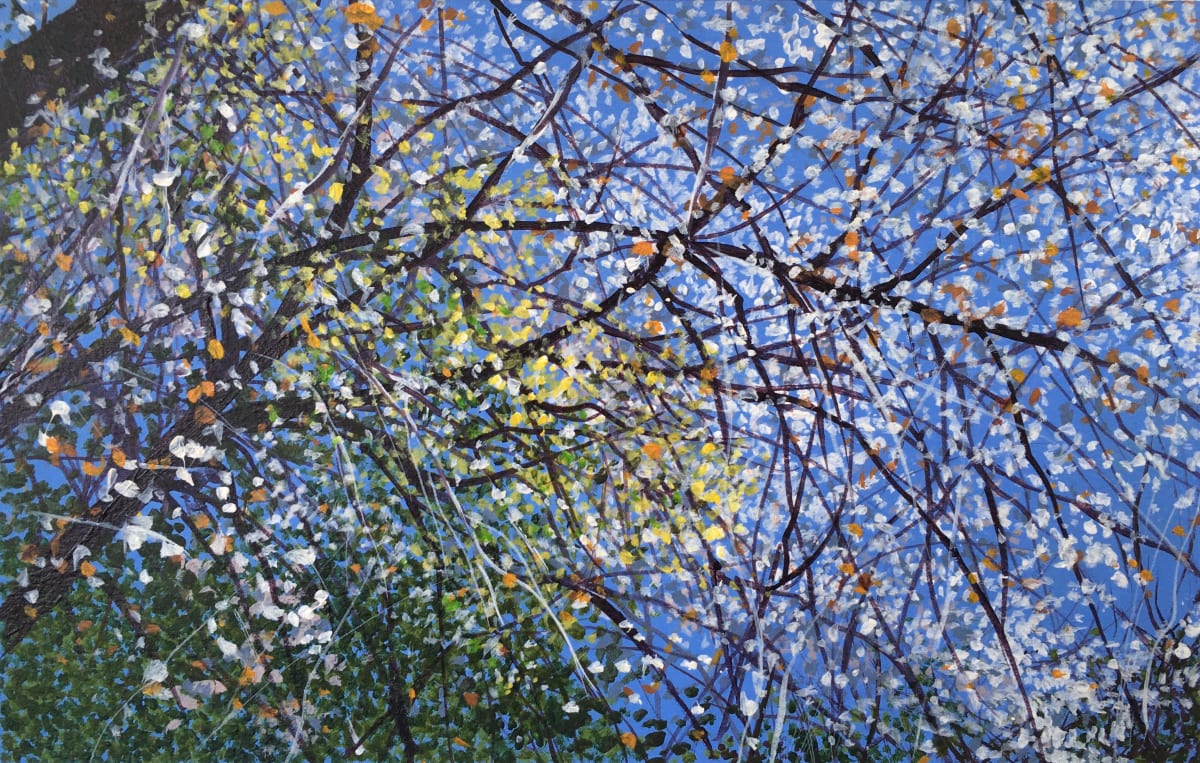 Spring Transition, Image 1.