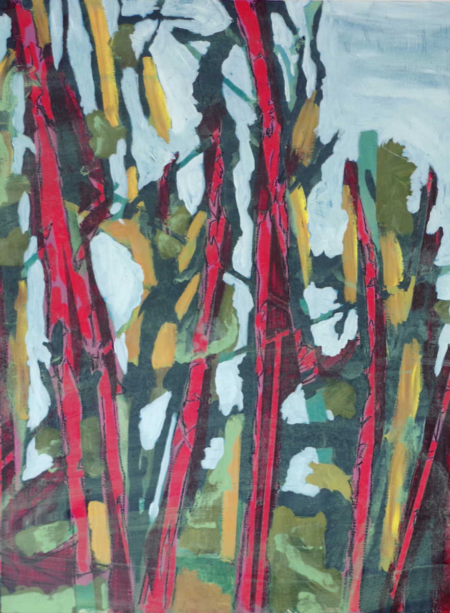 Catching the Trees by Justine Lasdin 