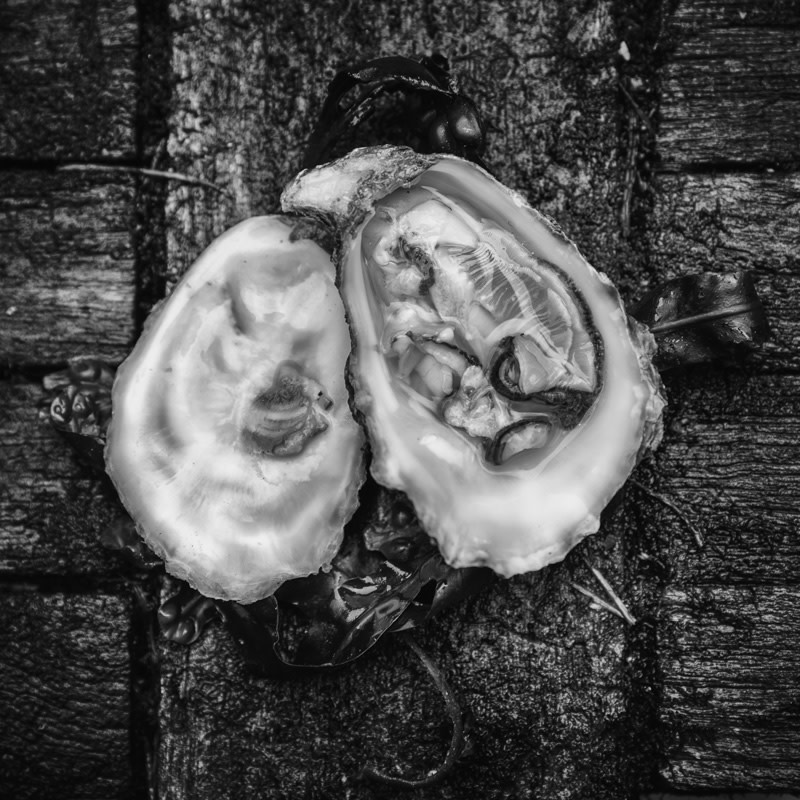 Gigas Oysters (Crassostrea Gigas) by From The Source 