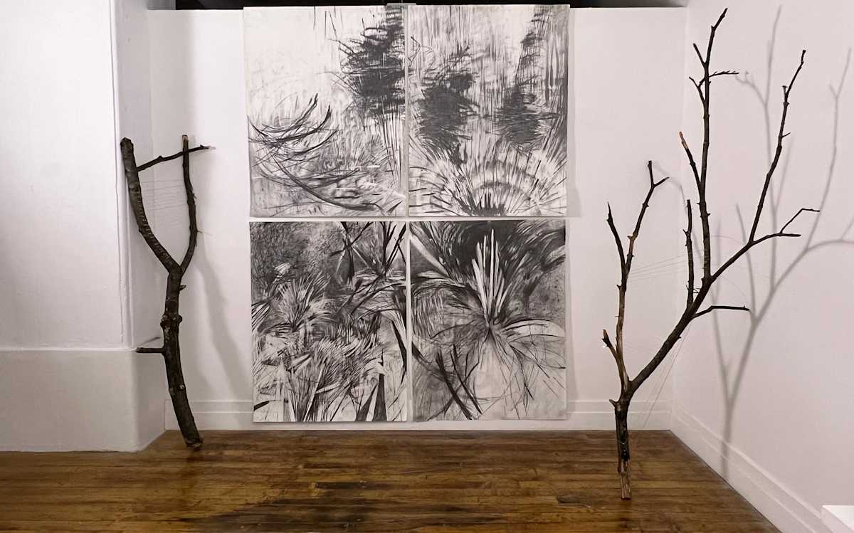 Allegro I-IV by Sarah Valeri  Image: A sense of bodies via thermodynamics, interactions, rather than solid form. Transitional spaces. These four drawings are meant to be related but not perfectly translated between. 