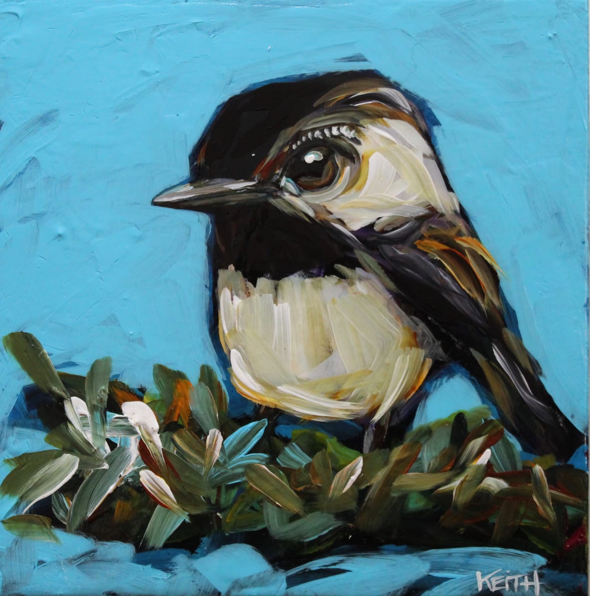 Claire by Kandice Keith 