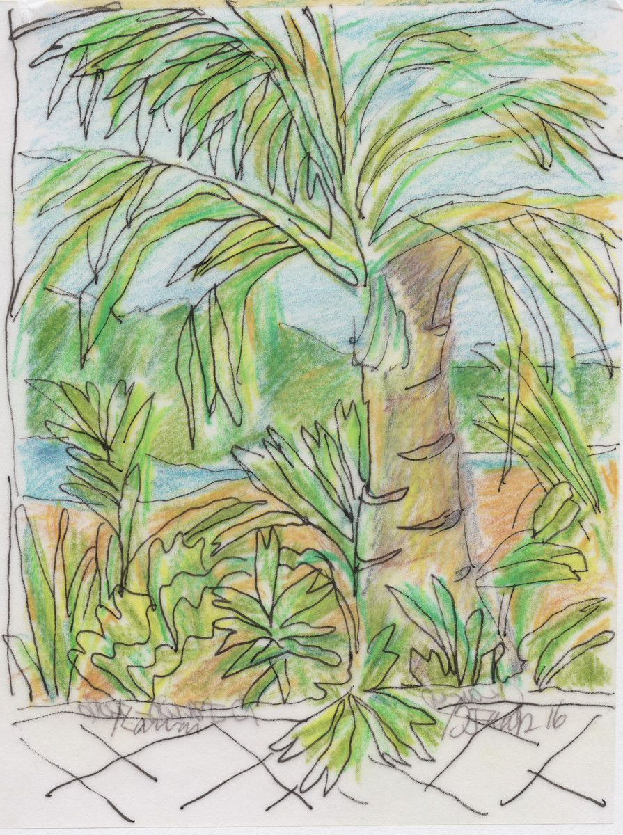 Kauai View-From the Lanai by Barbara Jacobs 
