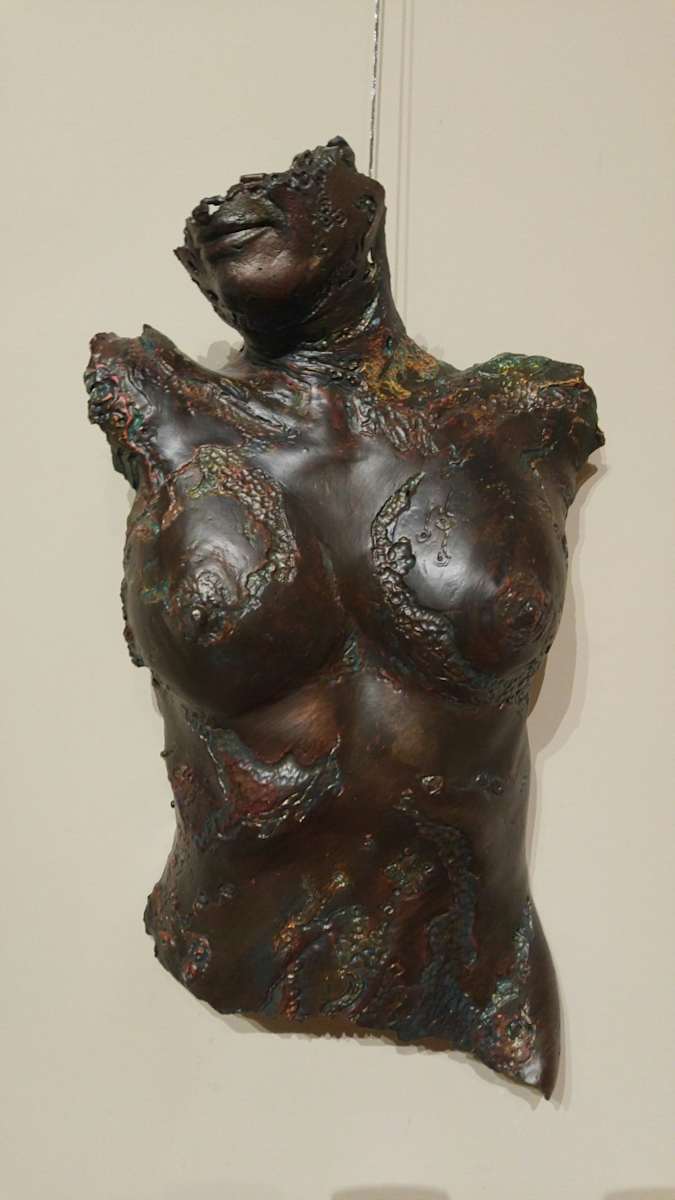 Mermaid # 3 - Life Chart by Stephen Cole Fine Art, Image 3.